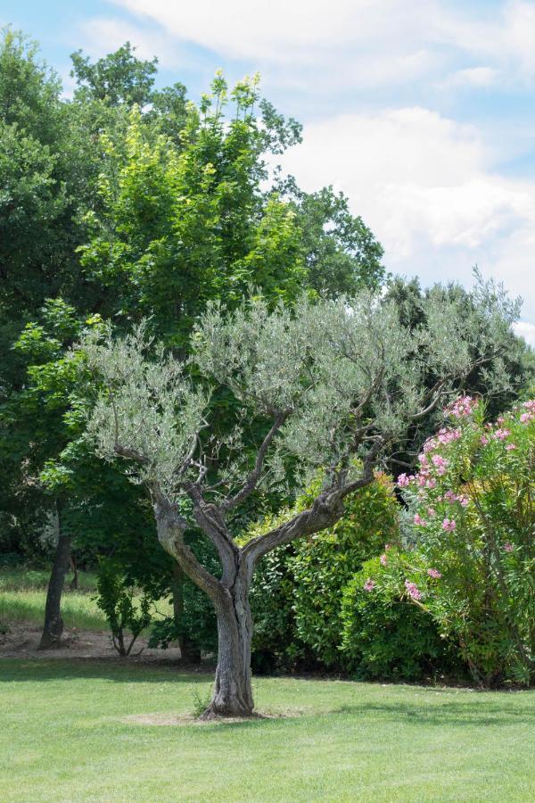 Le Bouquet De L Aromate Bed and Breakfast Joucas Εξωτερικό φωτογραφία