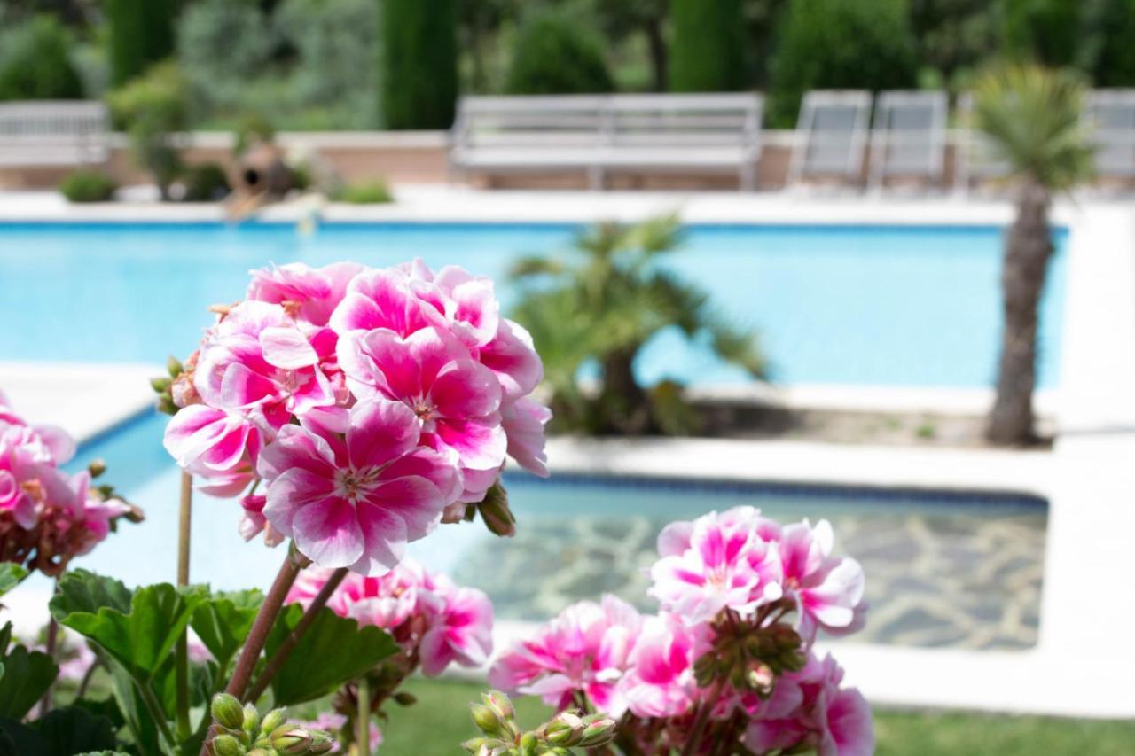Le Bouquet De L Aromate Bed and Breakfast Joucas Εξωτερικό φωτογραφία